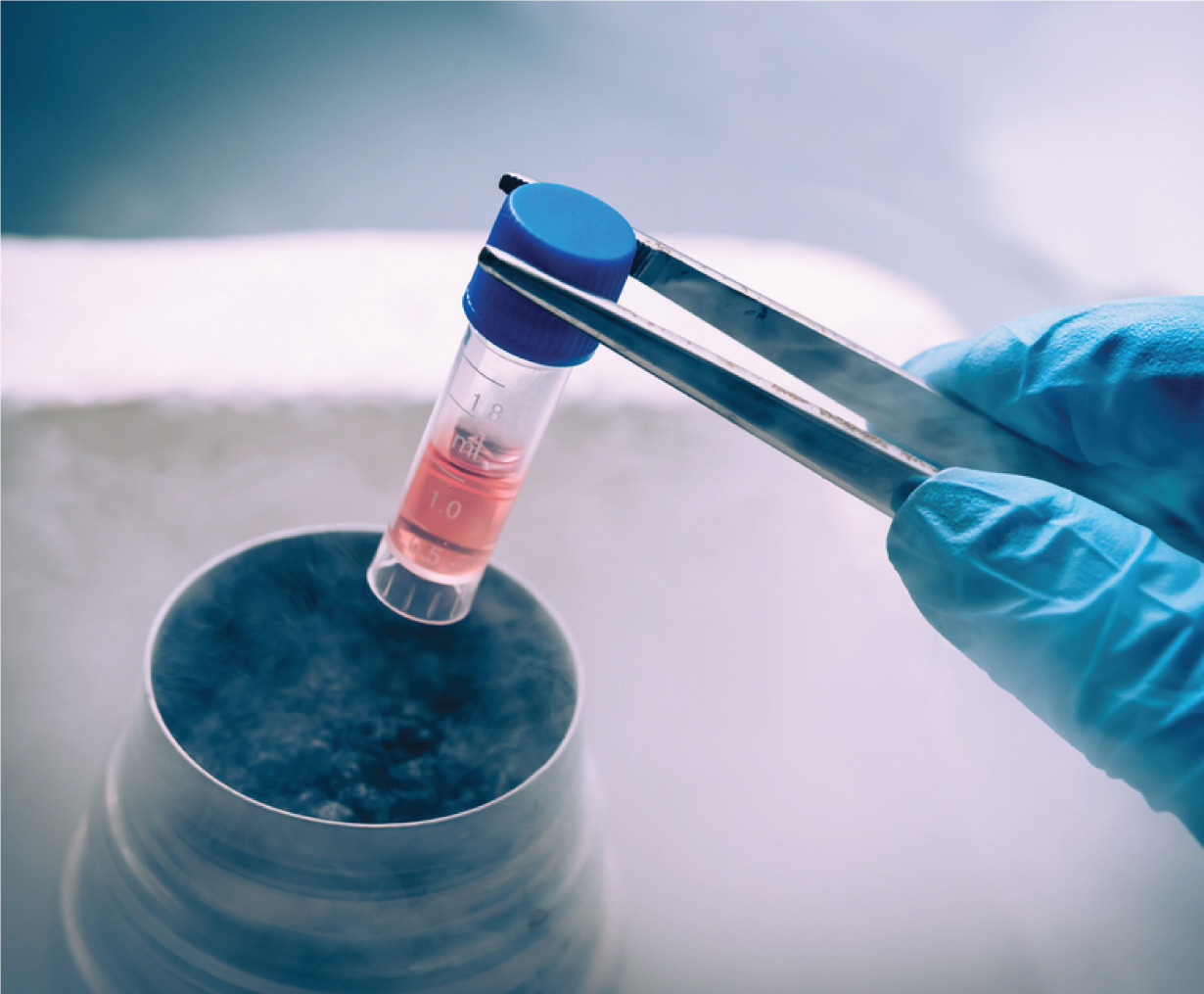 Nitrogen-(N2)_434-x-358